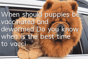 When should puppies be vaccinated and dewormed? Do you know when is the best time to vaccinate?