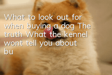 What to look out for when buying a dog The truth! What the kennel won’t tell you about buying options