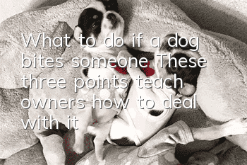 What to do if a dog bites someone? These three points teach owners how to deal with it