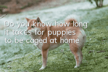 Do you know how long it takes for puppies to be caged at home?