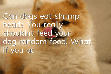 Can dogs eat shrimp heads? You really shouldn’t feed your dog random food. What if you accidentally eat it and get poisoned?