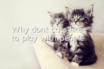 Why don’t cats like to play with people?