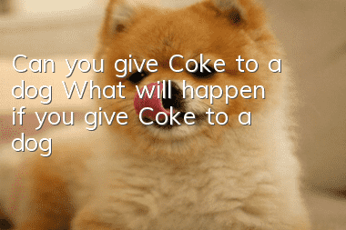 Can you give Coke to a dog? What will happen if you give Coke to a dog?