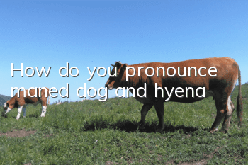 How do you pronounce maned dog and hyena?