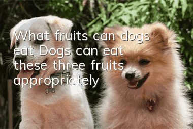 What fruits can dogs eat? Dogs can eat these three fruits appropriately