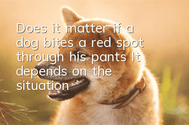 Does it matter if a dog bites a red spot through his pants? It depends on the situation!