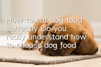 How to eat dog food correctly? Do you really understand how to choose dog food?