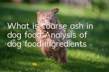 What is coarse ash in dog food? Analysis of dog food ingredients