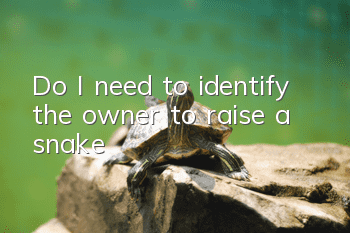 Do I need to identify the owner to raise a snake?