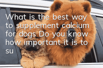 What is the best way to supplement calcium for dogs? Do you know how important it is to supplement calcium for dogs?