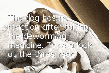 The dog has no reaction after taking the deworming medicine. Take a look at the three reactions of the dog after taking the deworming medicine.