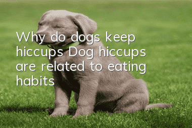 Why do dogs keep hiccups? Dog hiccups are related to eating habits