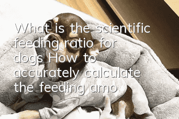 What is the scientific feeding ratio for dogs? How to accurately calculate the feeding amount?