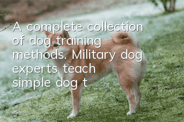 A complete collection of dog training methods. Military dog experts teach simple dog training methods