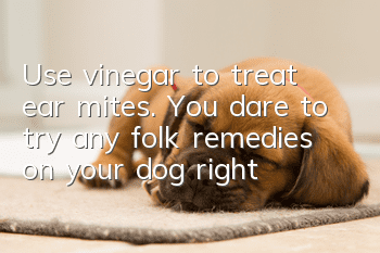 Use vinegar to treat ear mites. You dare to try any folk remedies on your dog, right?