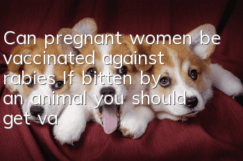 Can pregnant women be vaccinated against rabies? If bitten by an animal, you should get vaccinated immediately!