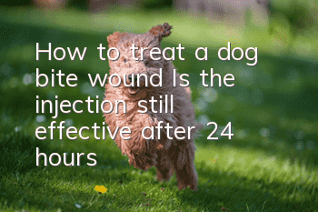 How to treat a dog bite wound? Is the injection still effective after 24 hours?