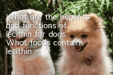 What are the benefits and functions of lecithin for dogs? What foods contain lecithin?