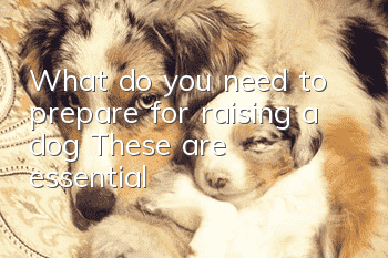 What do you need to prepare for raising a dog? These are essential