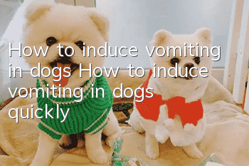 How to induce vomiting in dogs How to induce vomiting in dogs quickly