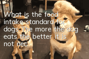 What is the food intake standard for dogs? The more the dog eats, the better it is not necessarily the better it will grow.