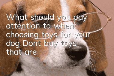 What should you pay attention to when choosing toys for your dog? Don’t buy toys that are of poor quality