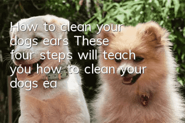 How to clean your dog’s ears? These four steps will teach you how to clean your dog’s ears easily.