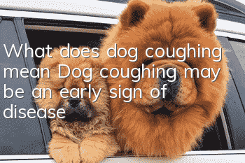 What does dog coughing mean? Dog coughing may be an early sign of disease