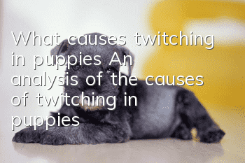 What causes twitching in puppies? An analysis of the causes of twitching in puppies