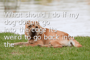 What should I do if my dog doesn’t go into the cage? It’s weird to go back into the cage and feel like he’s in jail!