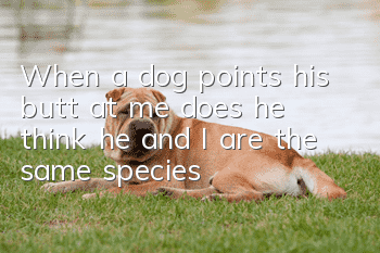 When a dog points his butt at me, does he think he and I are the same species?