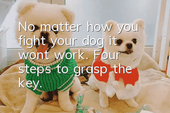 No matter how you fight your dog, it won’t work. Four steps to grasp the key.