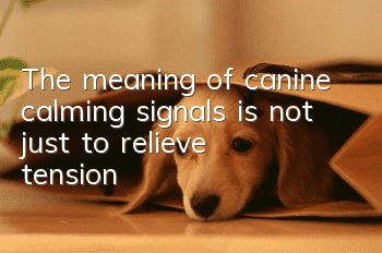 The meaning of canine calming signals is not just to relieve tension