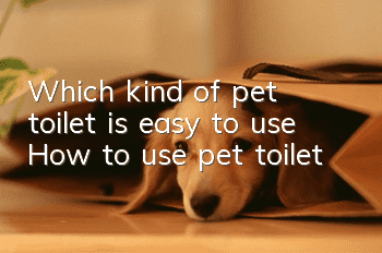 Which kind of pet toilet is easy to use? How to use pet toilet