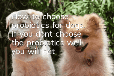 How to choose probiotics for dogs. If you don’t choose the probiotics well, you will eat them in vain!