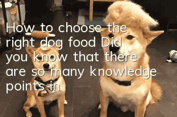 How to choose the right dog food? Did you know that there are so many knowledge points in dog food?