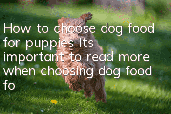 How to choose dog food for puppies? It’s important to read more when choosing dog food for puppies!