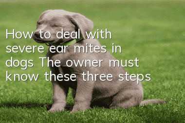 How to deal with severe ear mites in dogs? The owner must know these three steps