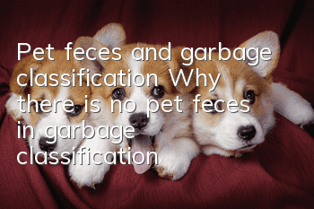 Pet feces and garbage classification Why there is no pet feces in garbage classification