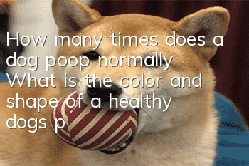 How many times does a dog poop normally? What is the color and shape of a healthy dog’s poop?