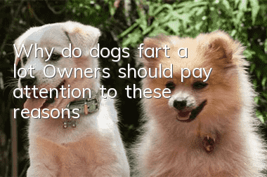 Why do dogs fart a lot? Owners should pay attention to these reasons