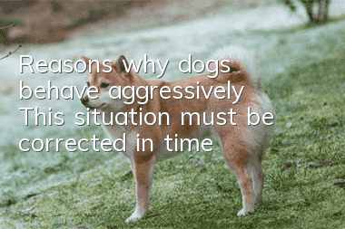 Reasons why dogs behave aggressively This situation must be corrected in time!