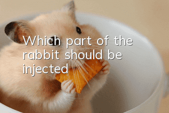 Which part of the rabbit should be injected?