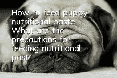 How to feed puppy nutritional paste? What are the precautions for feeding nutritional paste?