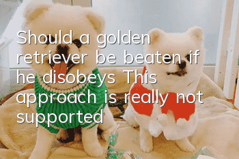 Should a golden retriever be beaten if he disobeys? This approach is really not supported!