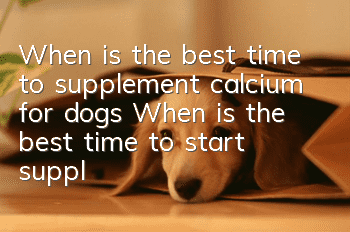 When is the best time to supplement calcium for dogs? When is the best time to start supplementing calcium for dogs?