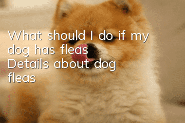 What should I do if my dog has fleas? Details about dog fleas