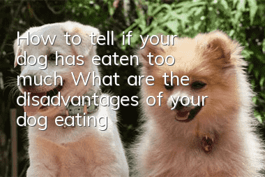How to tell if your dog has eaten too much? What are the disadvantages of your dog eating too much?
