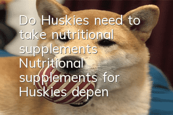 Do Huskies need to take nutritional supplements? Nutritional supplements for Huskies depend on their body needs!