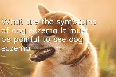 What are the symptoms of dog eczema? It must be painful to see dog eczema!